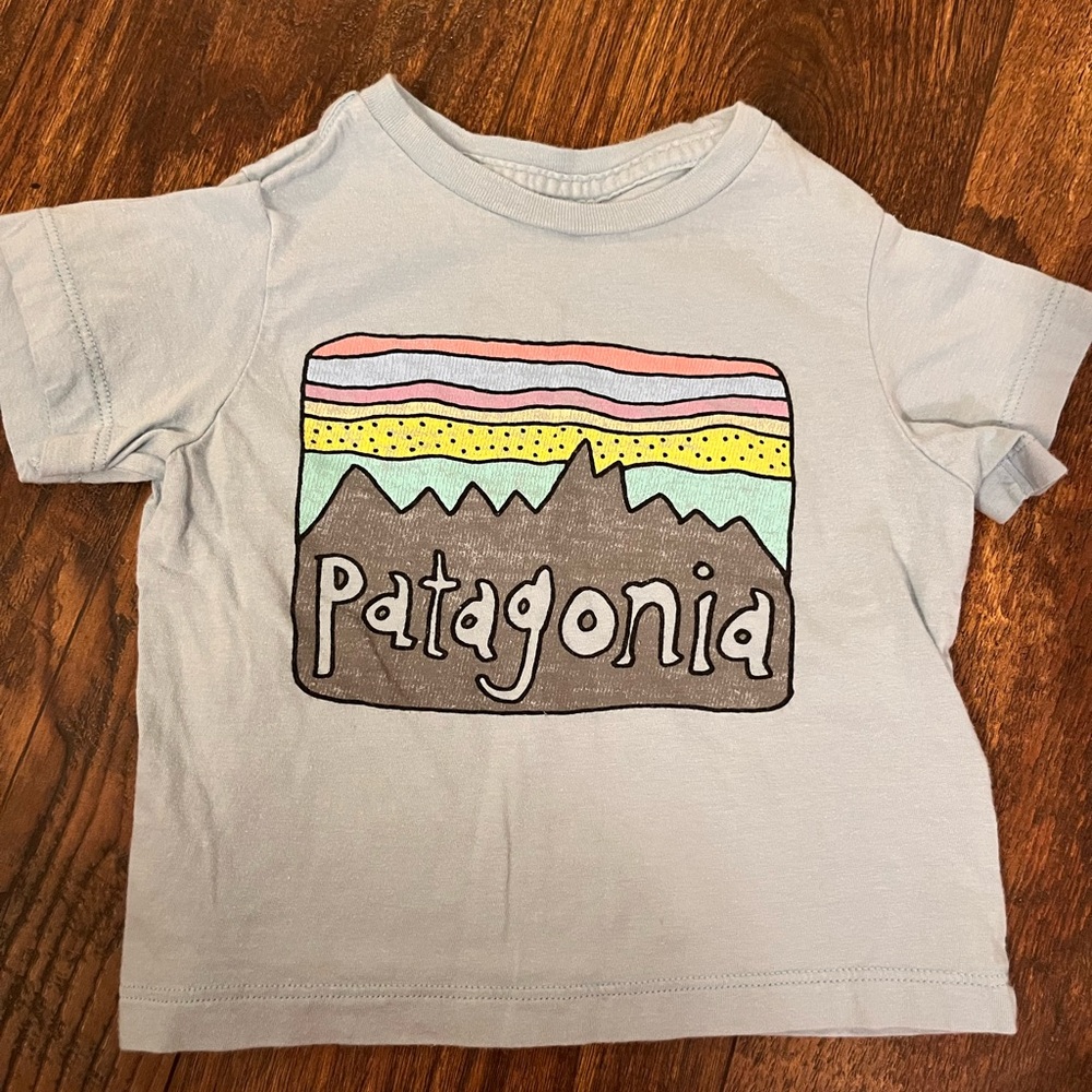 Patagonia Kids' Light Blue Graphic T-Shirt
